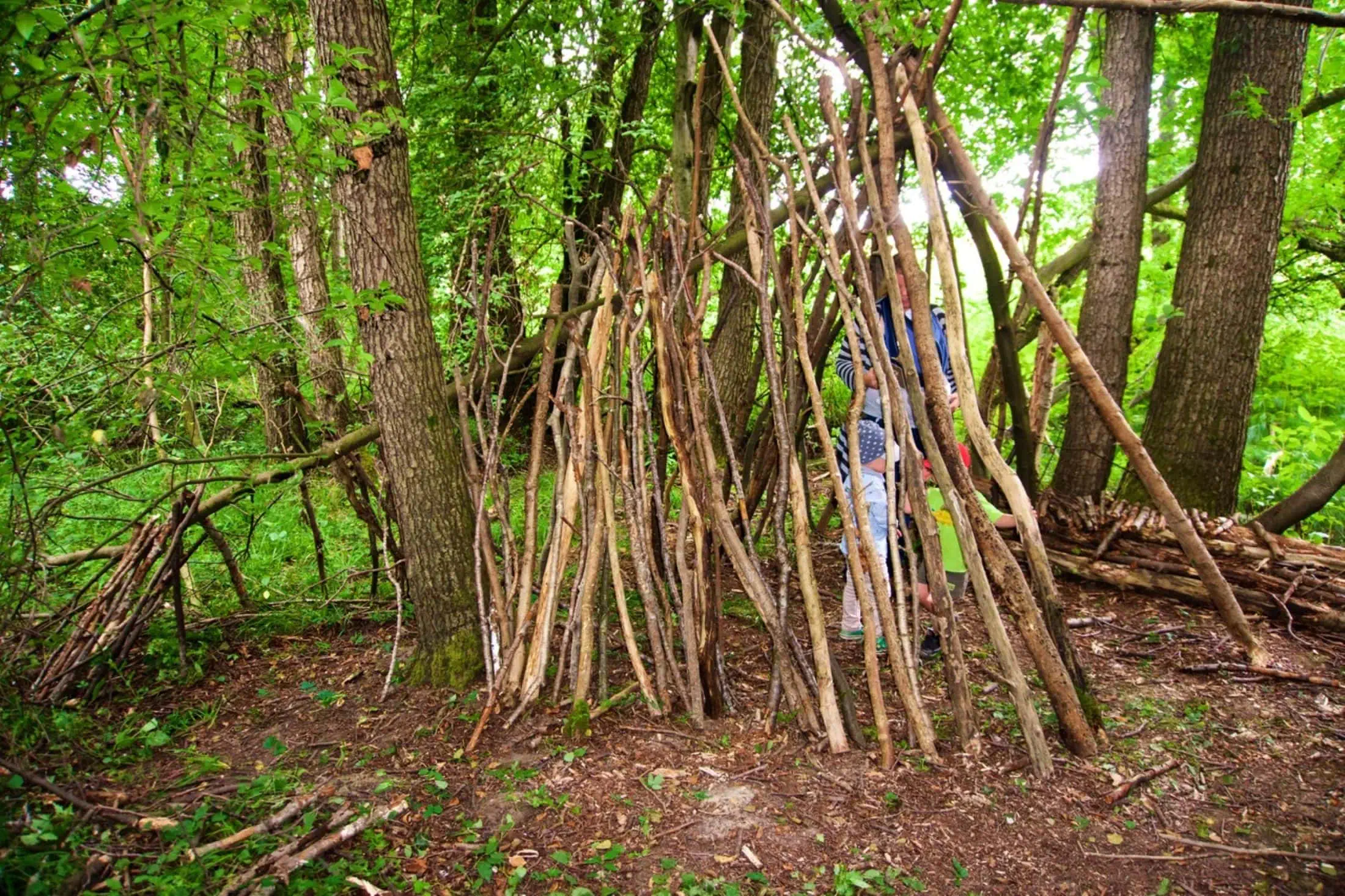 Auszeit Wald Erlebnisbaumschule am Steinberg // HIMBEER