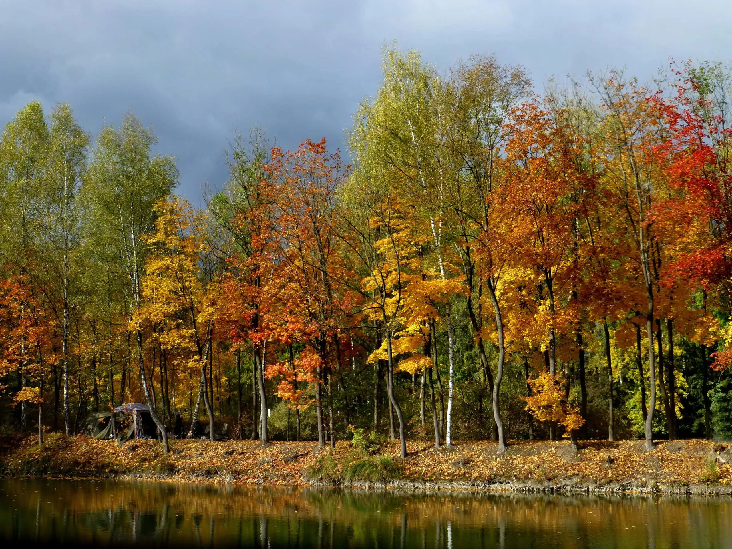 Herbstspaziergang – Tipps fürs dritte Oktoberwochenende KW 42 // HIMBEER