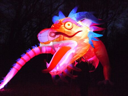 Das TOLLWOOD Winterfestival in München // HIMBEER