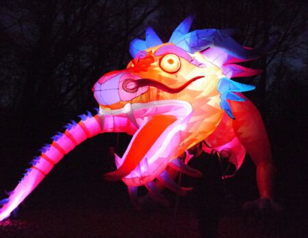 Das TOLLWOOD Winterfestival in München // HIMBEER