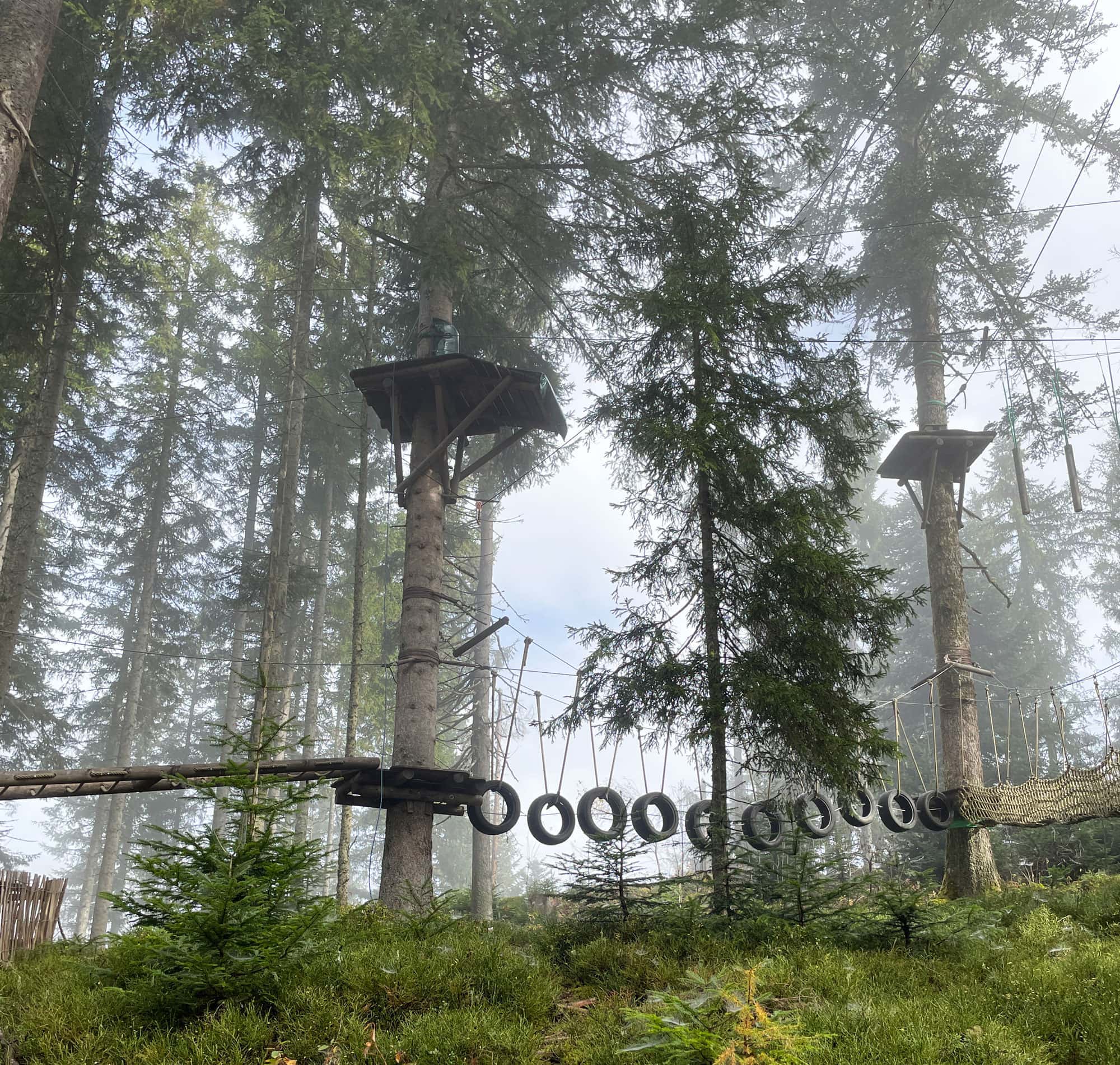 Reisebericht Salzburger Alpen: Waldseilgarten Natrun – Spaß und Abenteuer in den Bäumen // HIMBEER