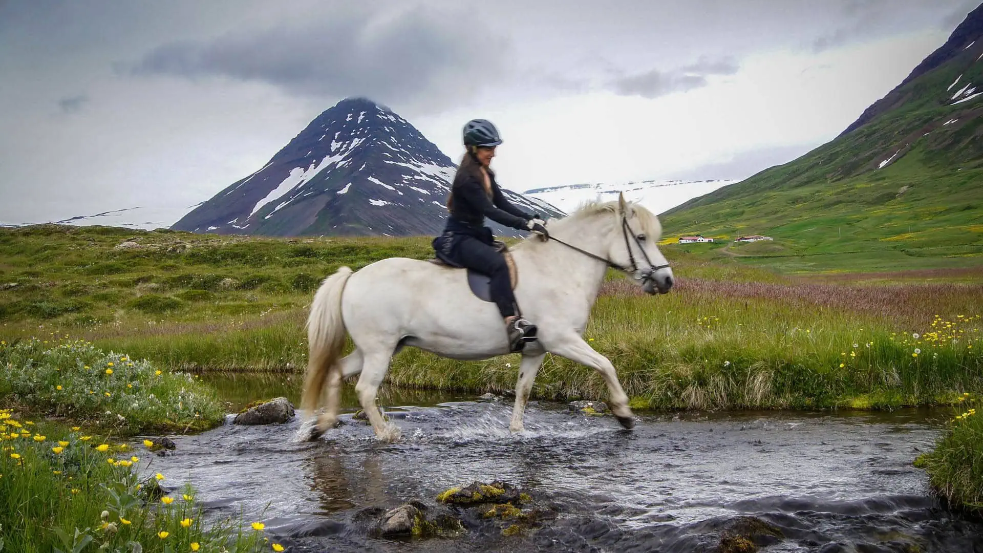 Good Travel-Tipp für Island mit Kindern: Reiten in faszinierender Naturlandschaft // HIMBEER