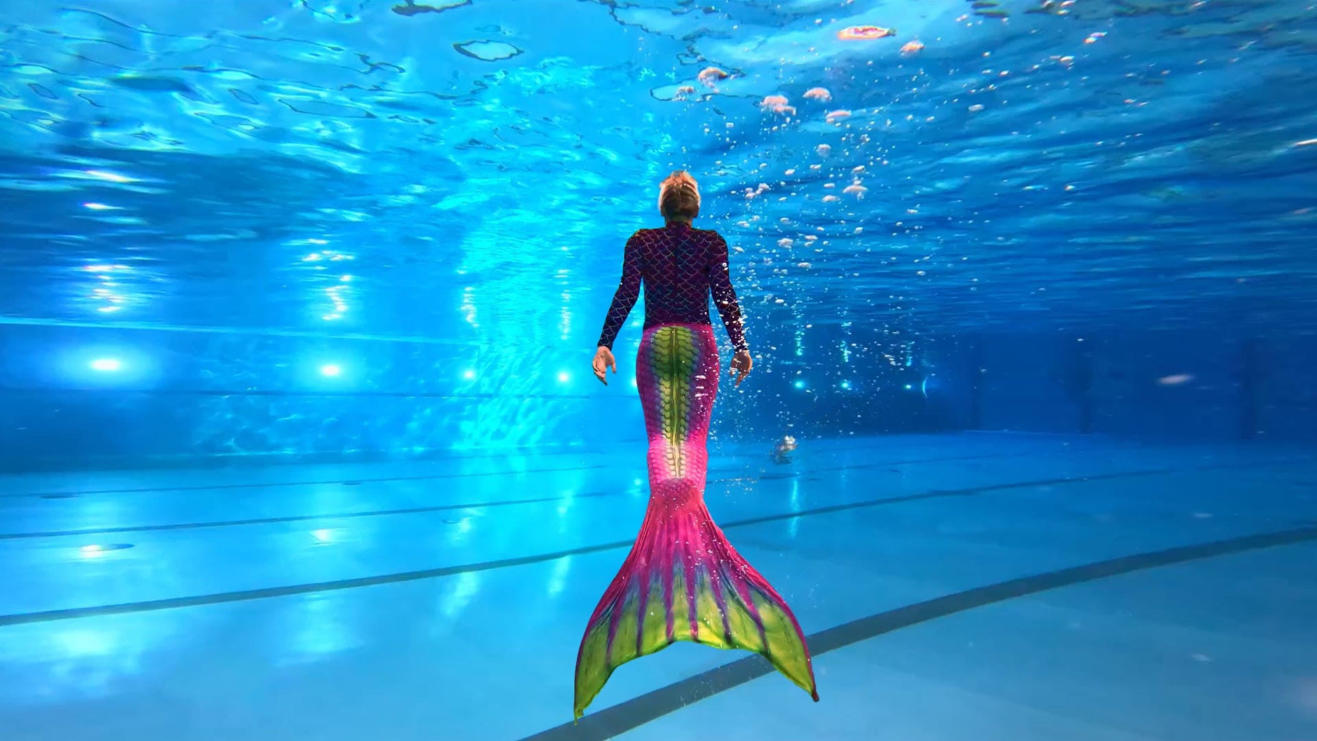 Wassersportfestivalder Landeshauptstadt München in der Olympia-Schwimmhalle – Tipps fürs dritte Novemberwochenende KW 46 // HIMBEER