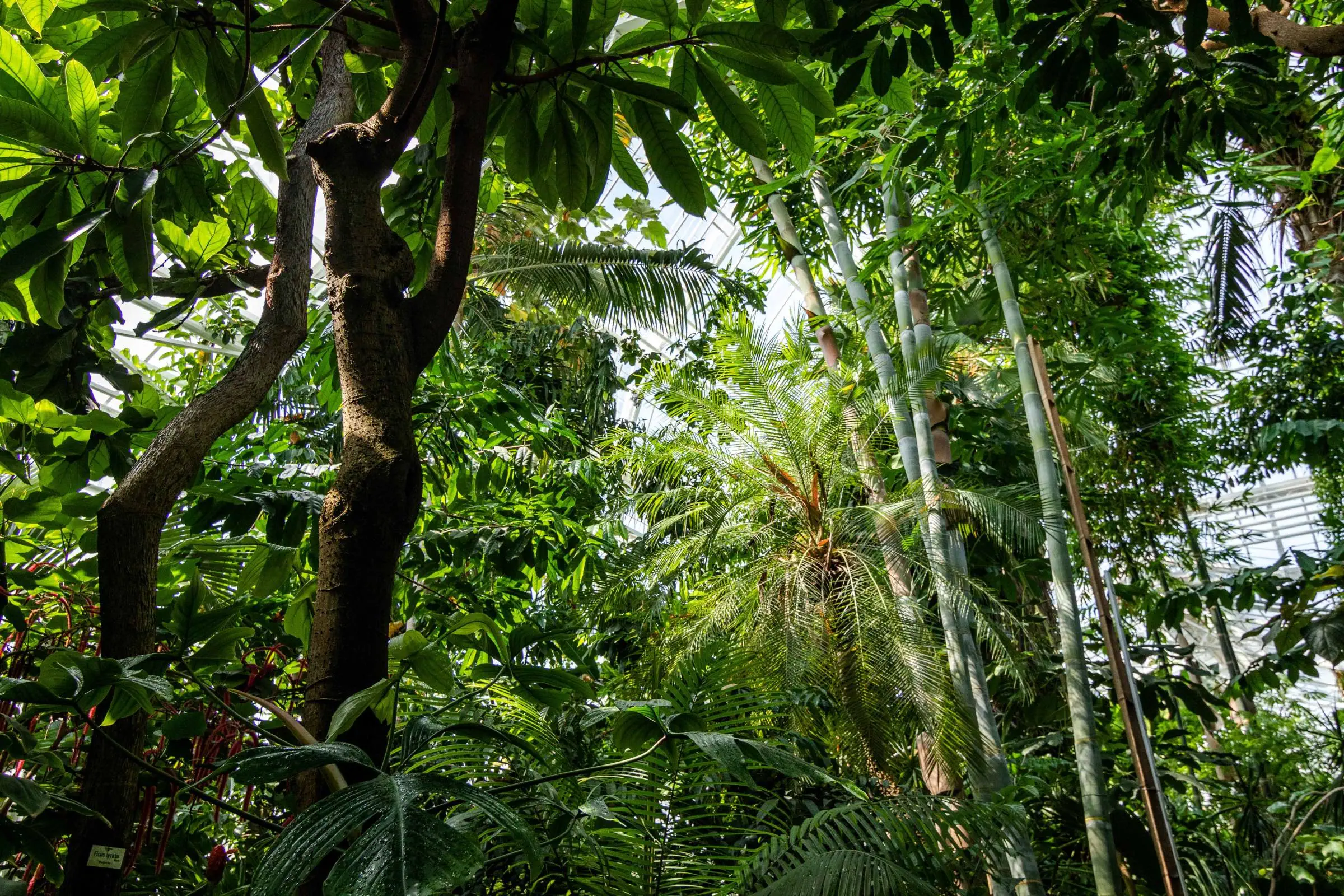 München bei Regen: ein Ausflug in den Botanischen Garten // HIMBEER