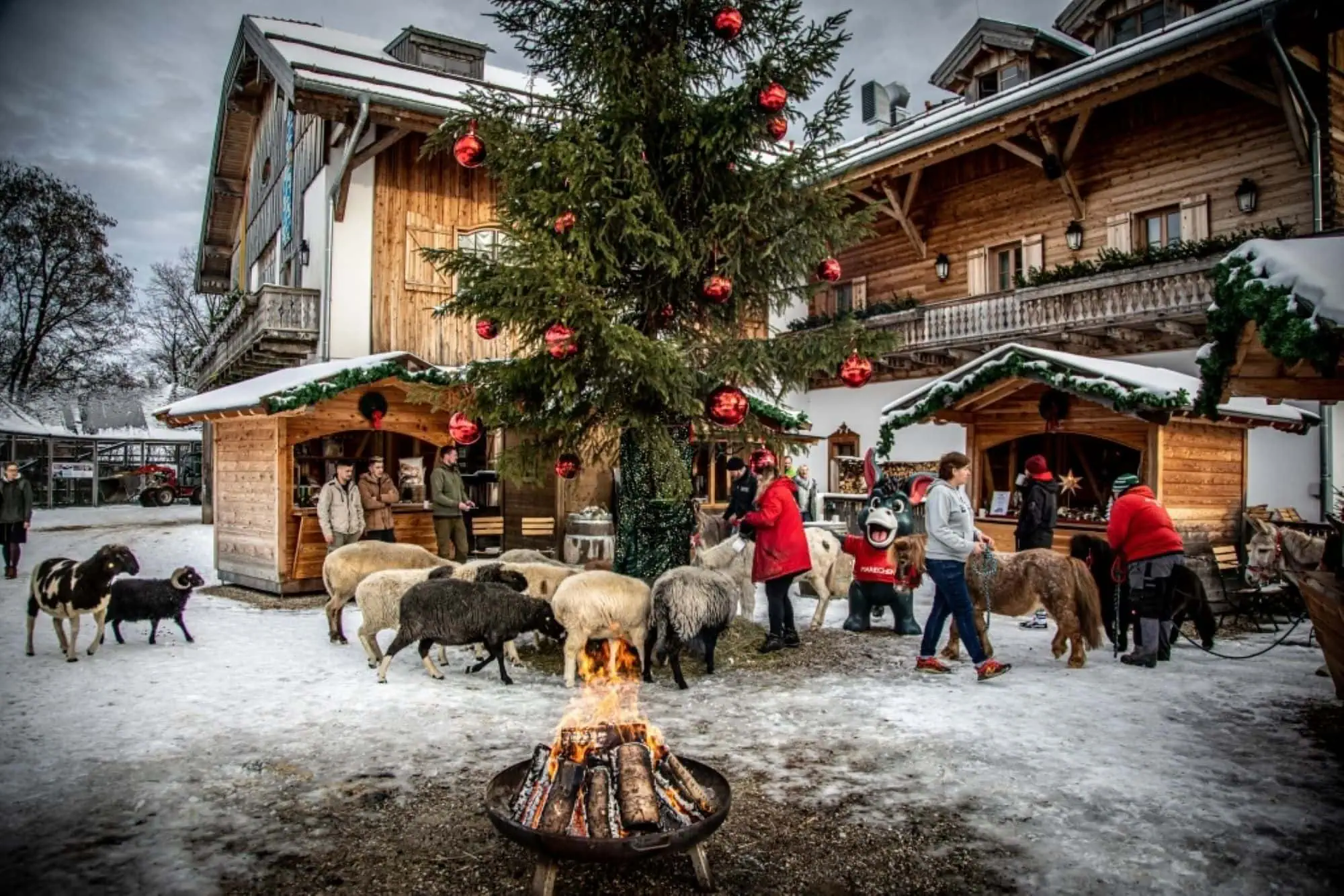 Gut Aiderbichl Adventmarkt // HIMBEER