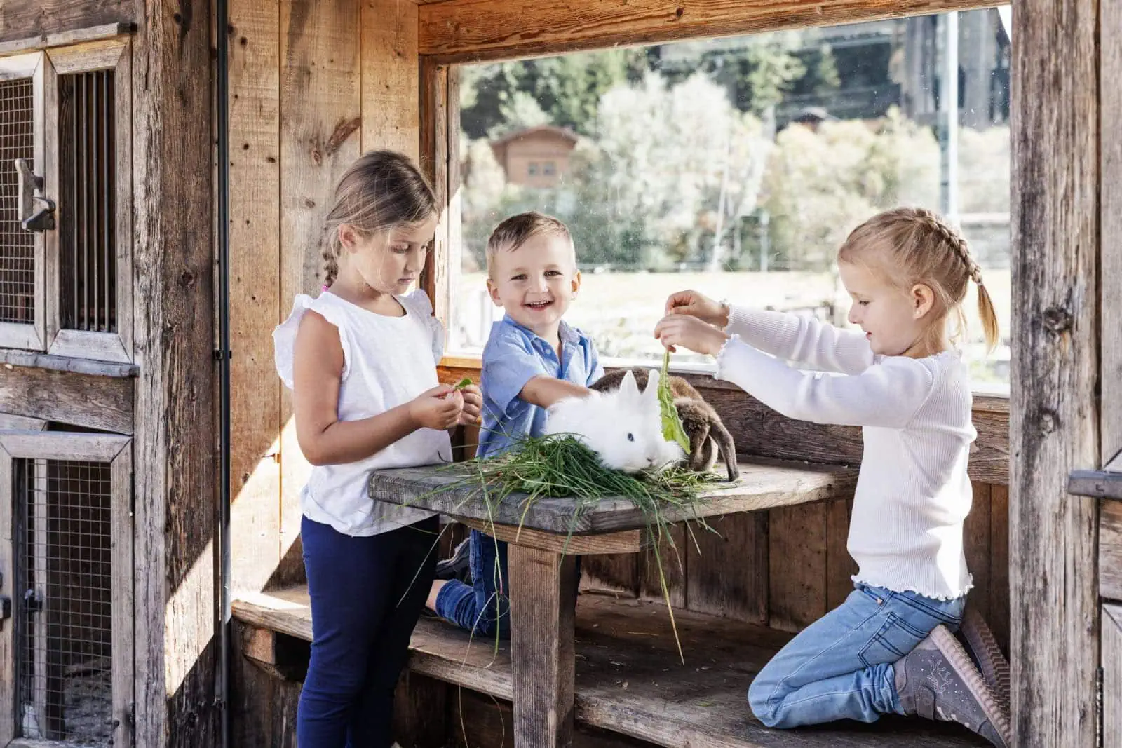 Für kleine Abenteurer und große Träumer: Chalet-Urlaub mit Familie am Bauernhof im Feriendorf Holzleb’n // HIMBEER
