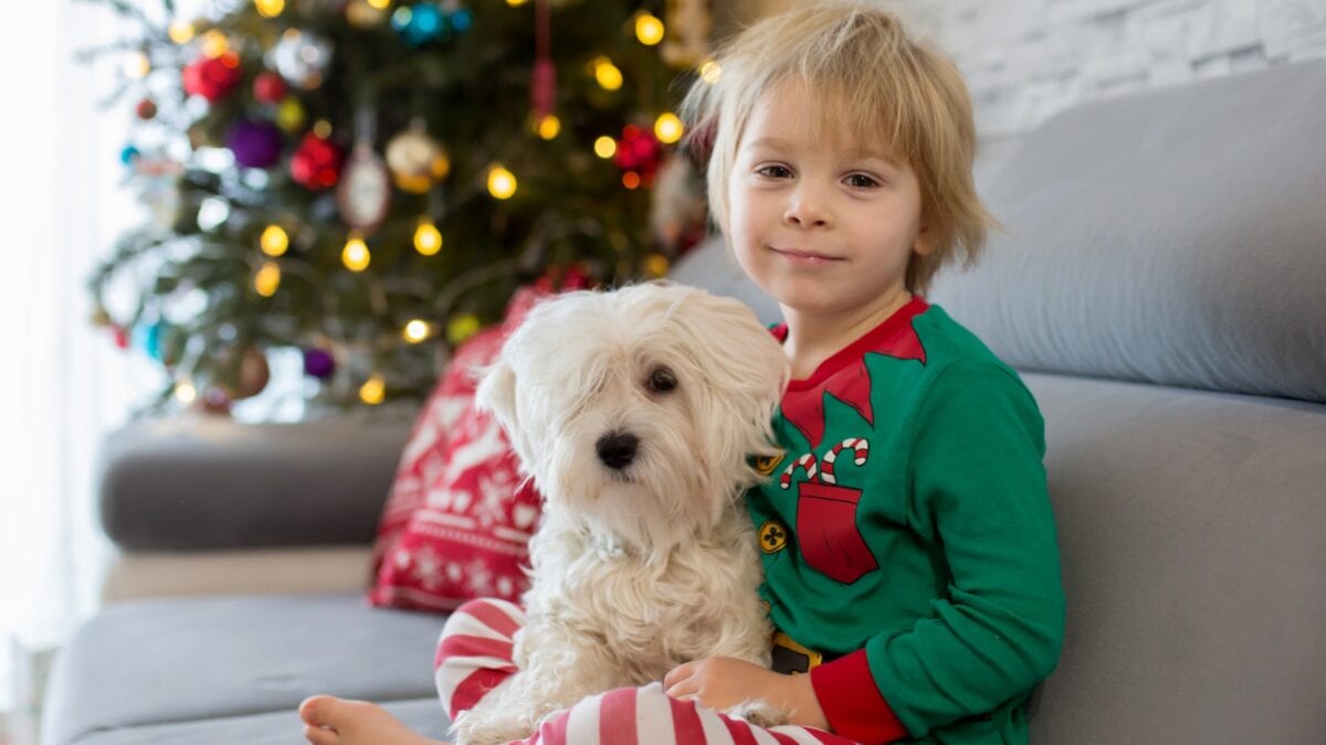 KW51 Wochenend-Tipps mit Kindern in München // HIMBEER