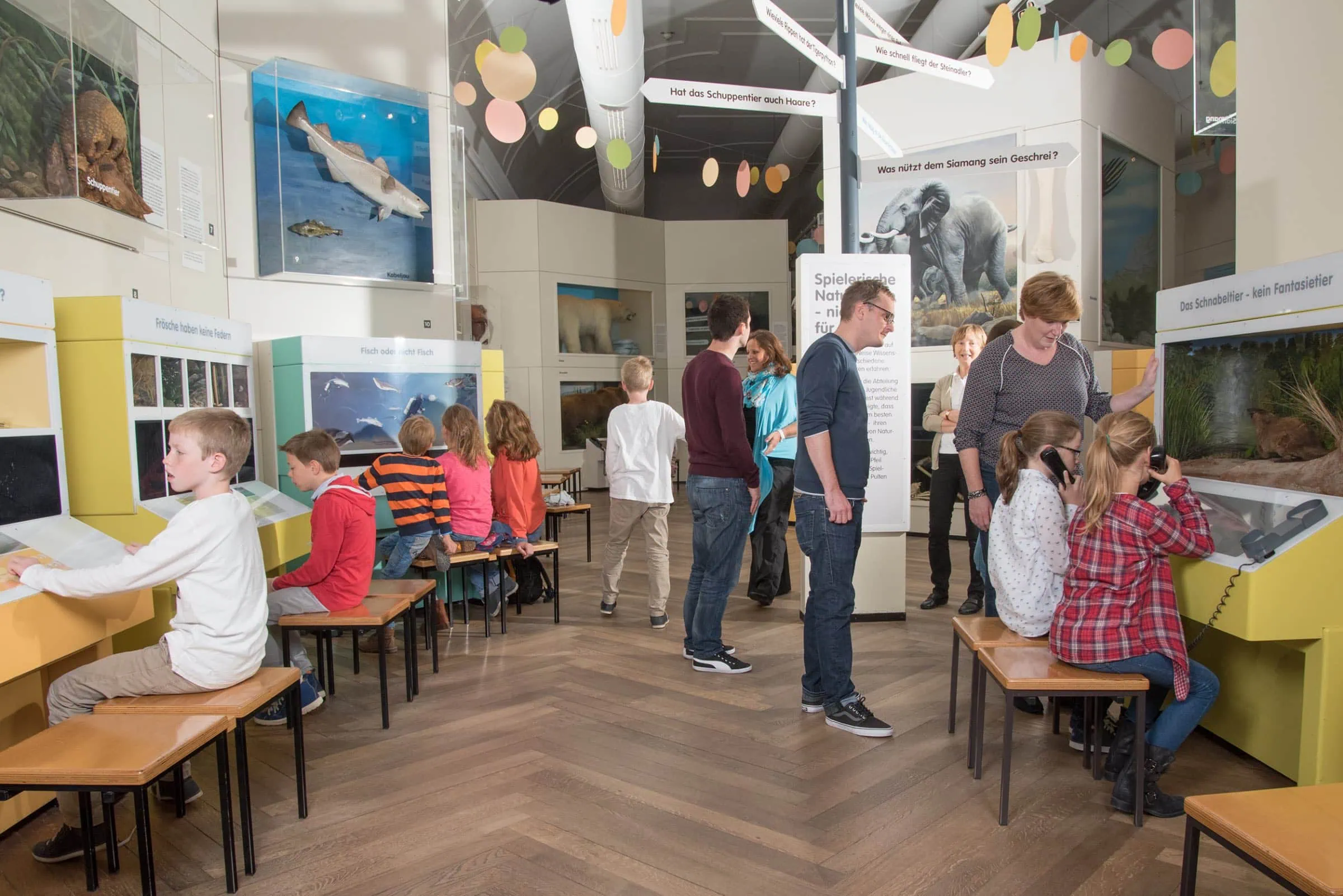 München bei regen: Museum für Mensch und Natur // HIMBEER