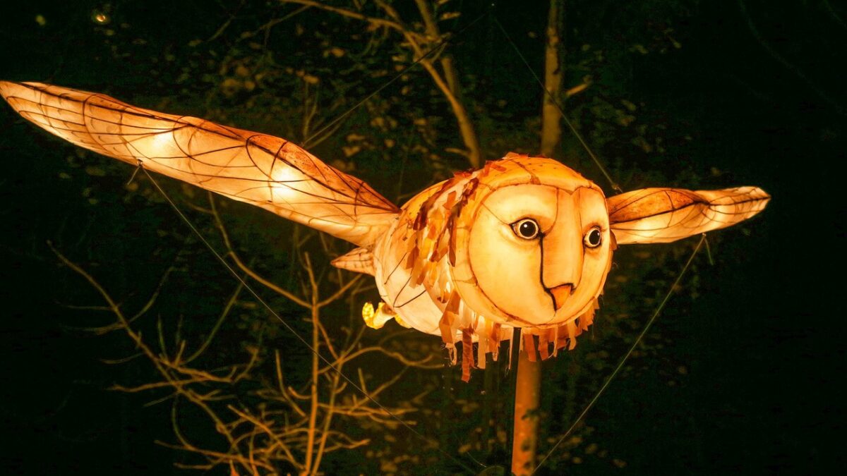 THINGUMAJIG THEATRE: BARN OWL // HIMBEER