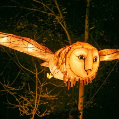 THINGUMAJIG THEATRE: BARN OWL // HIMBEER