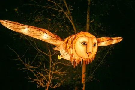 THINGUMAJIG THEATRE: BARN OWL // HIMBEER