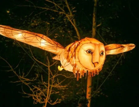 THINGUMAJIG THEATRE: BARN OWL // HIMBEER