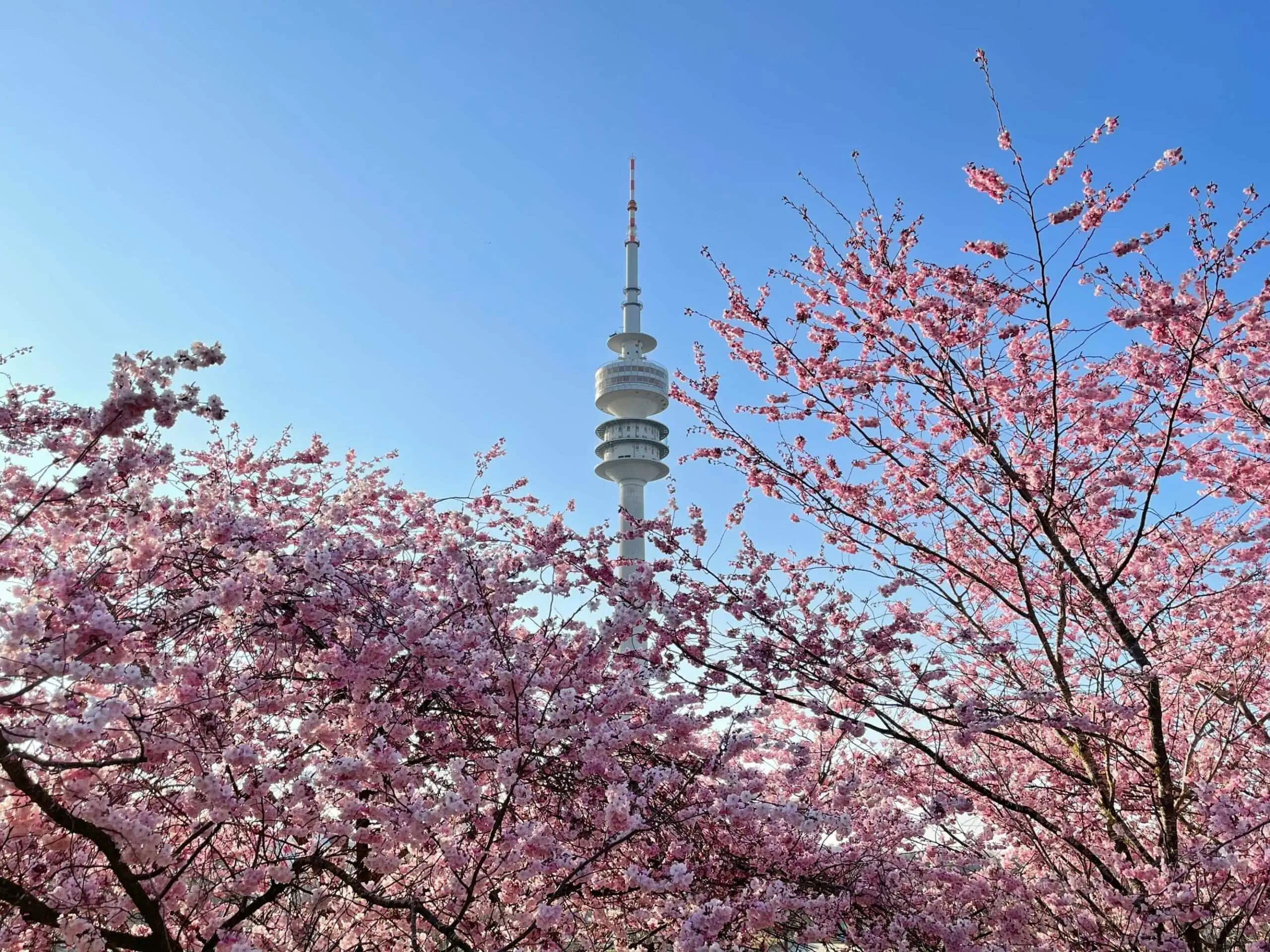 Frühling in München // HIMBEER