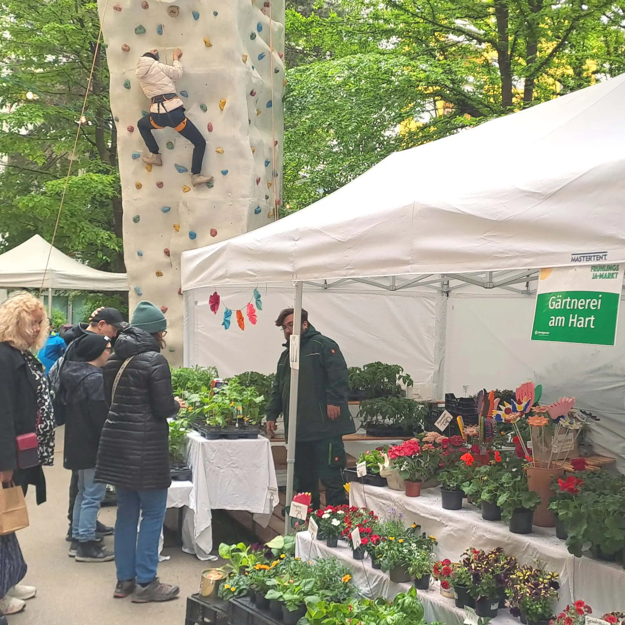 Frühlingsjamarkt Stiftung Pfennigparade // HIMBEER