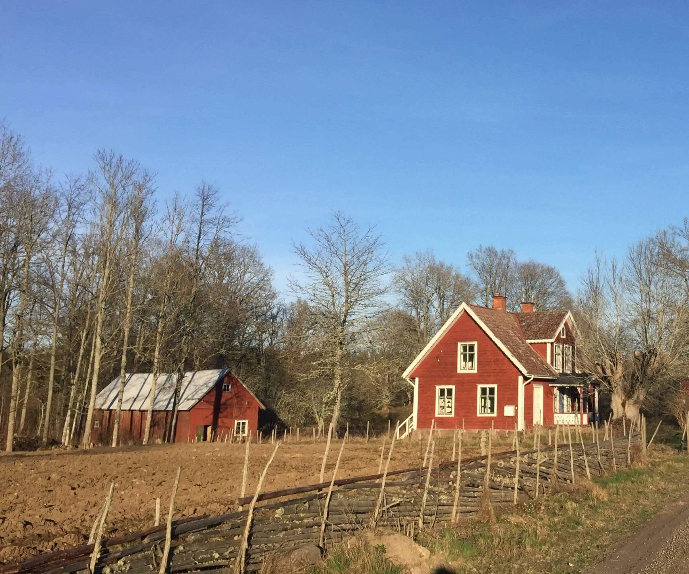 Good Travel-Tipp für Familien mit Kindern: Urlaub im traditionellen Schwedenhaus in Smaland – Ansicht Ferienhaus mit Umgebung
