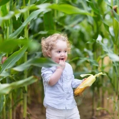 HIMBEER Ausflugstipps für Familien: Labyrinthe in der Natur im Umland von München