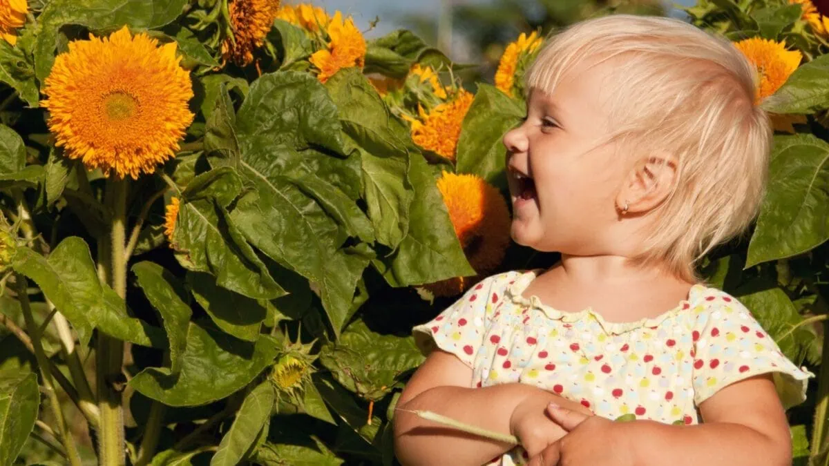 Mini-Tipps im August // HIMBEER