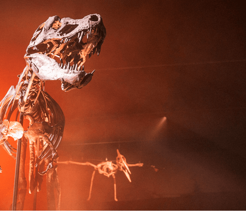 Halloween-Events für Kinder in München: Dinoween Dinosaurier Museum Altmuehltal // HIMBEER