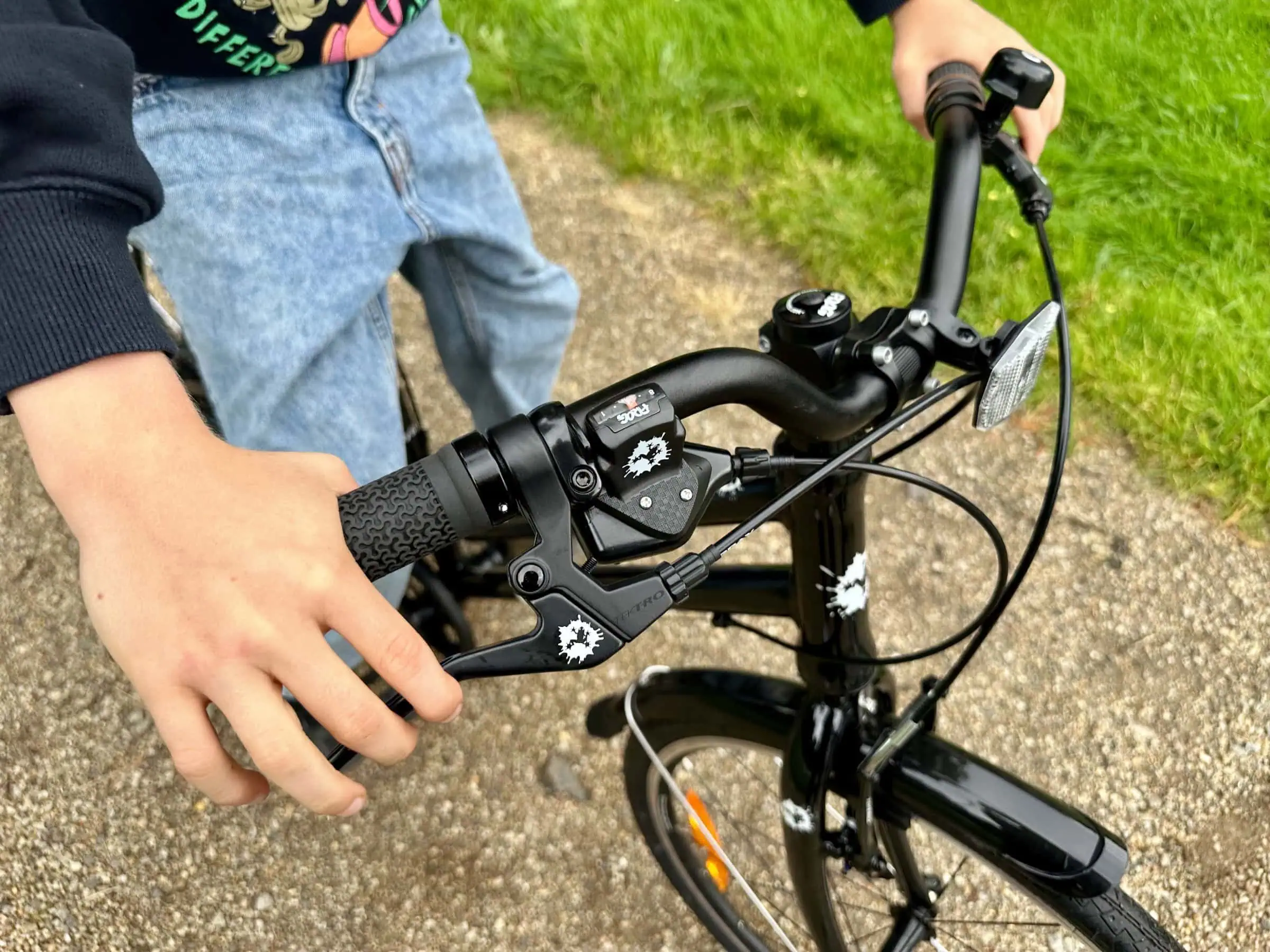 Enno Frog Bike IMG 8168 1 1415079 3366883