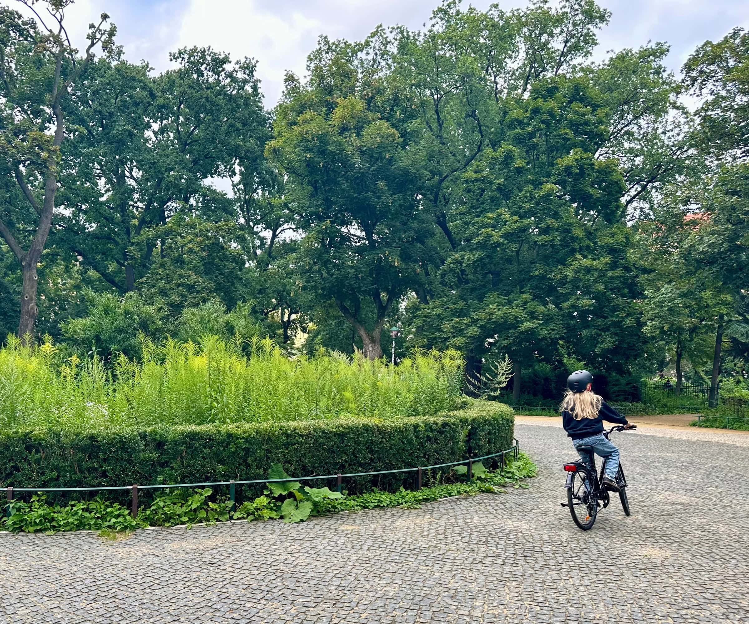Kinderfahrrad von Frog Bikes im HIMBEER-Test