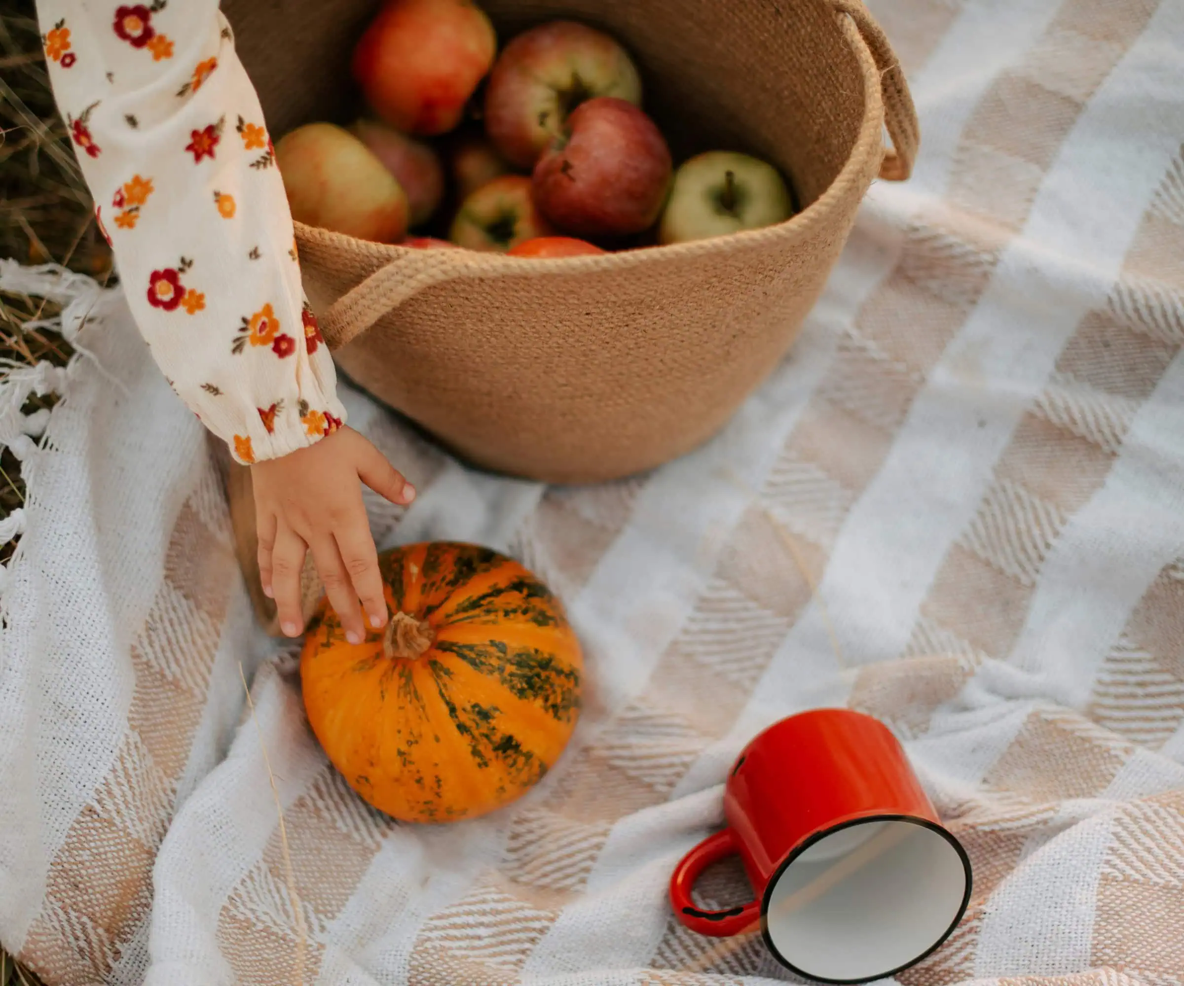 Herbst mit Kindern in München – letzte Picknick-Chancen nutzen