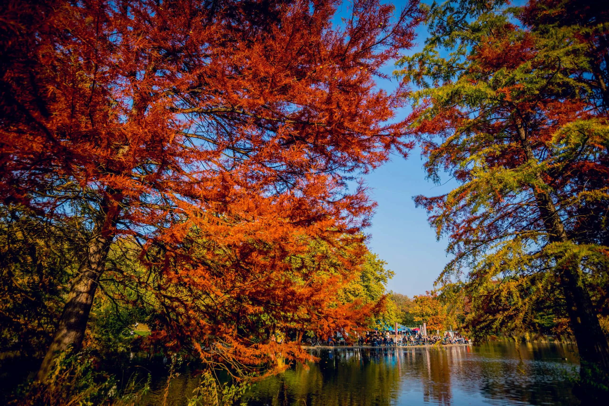 Gans am Wasser Herbstfest Tipps fürs zweite Oktoberwochenende KW 41 // HIMBEER