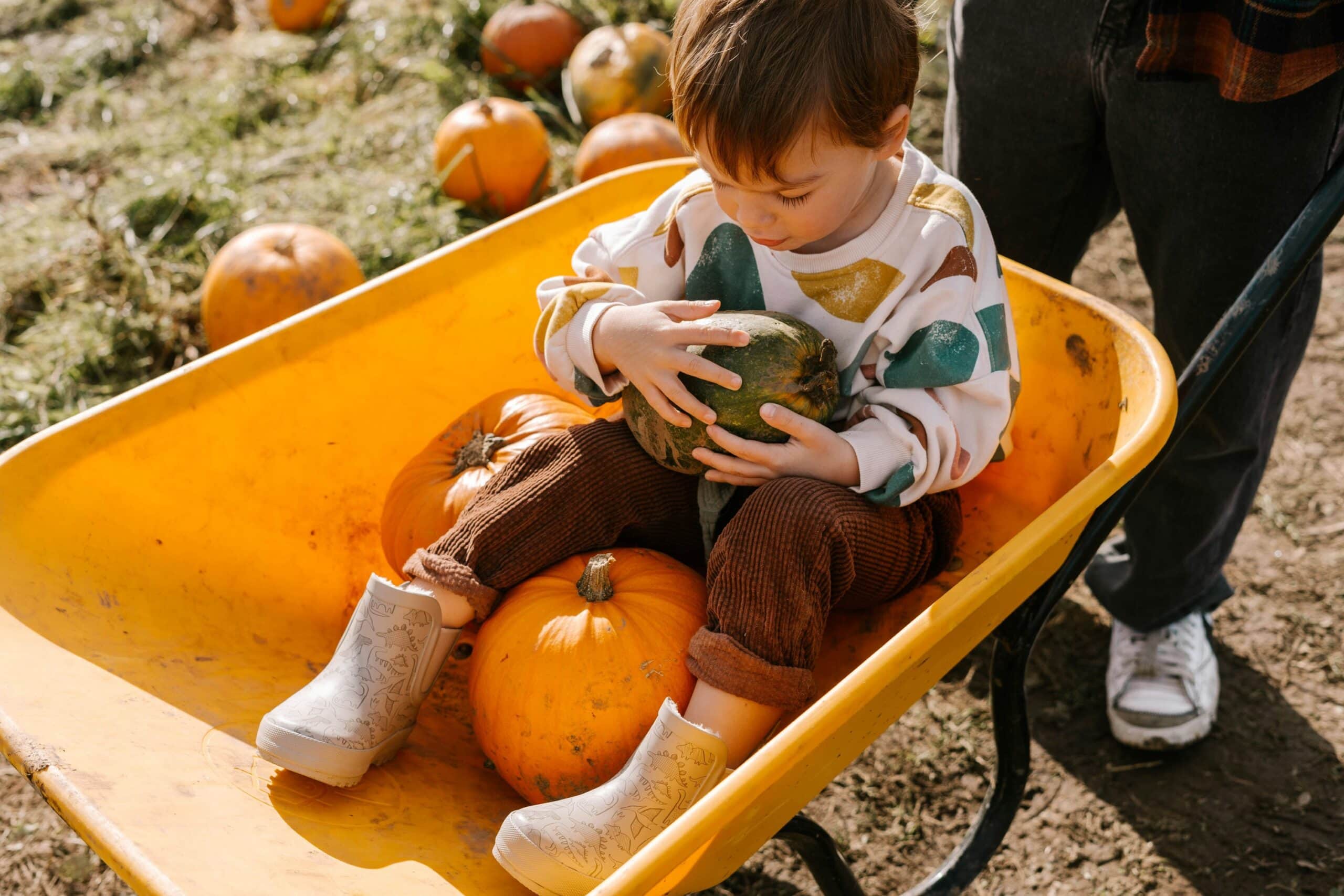 Feste und Festivals im November // HIMBEER