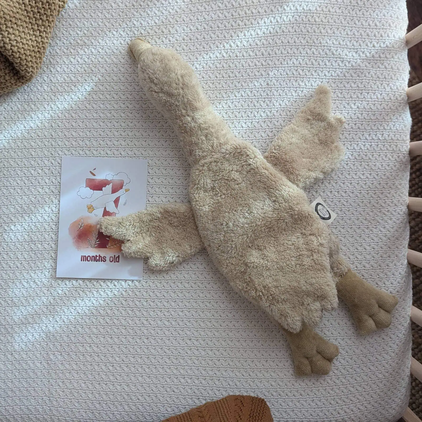 Gans-Kuscheltier von Senger Naturwelt // HIMBEER 2025