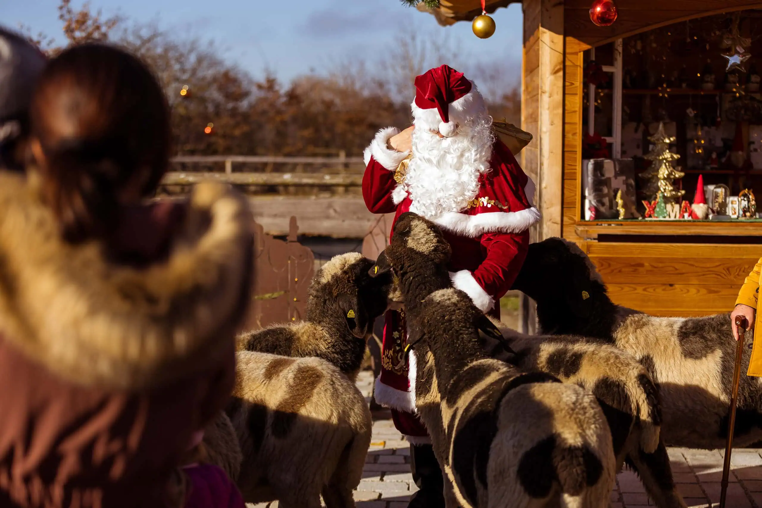 Gut Aiderbichl: Der Nikolaus kommt! – Tipps fürs zweite Adventswochenende KW 49 // HIMBEER
