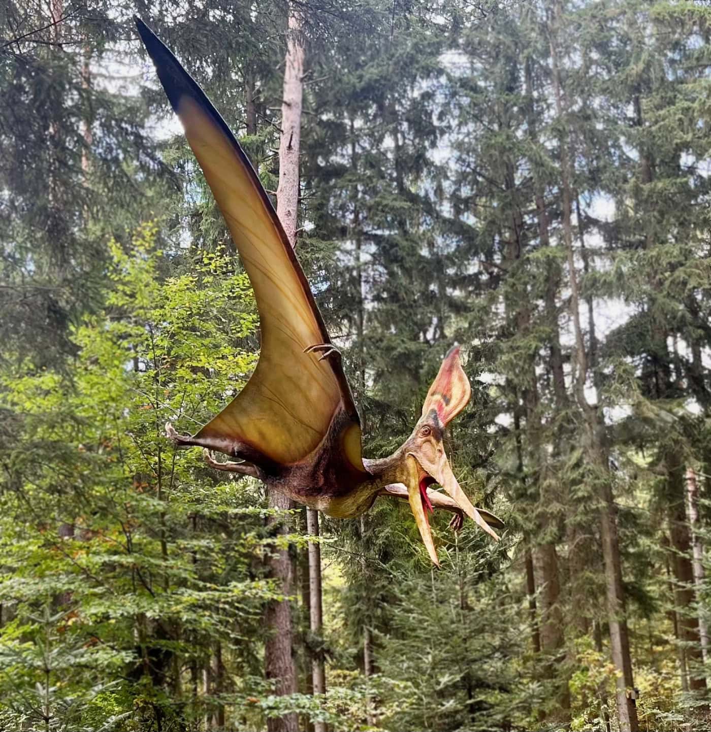 Dinosaurier Museum Altmühltal // HIMBEER Adventskalender 2025