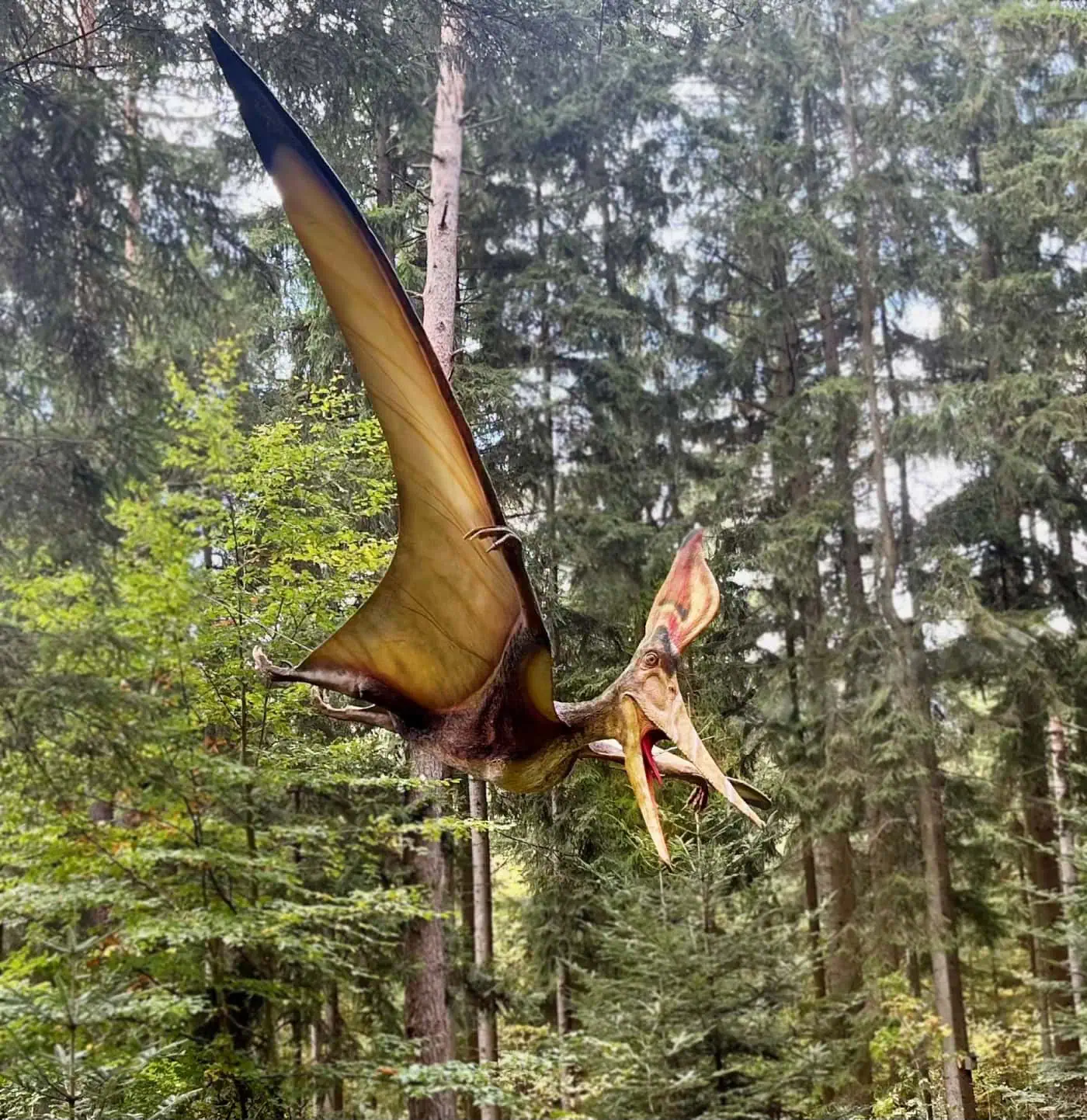 Dinosaurier Museum Altmühltal // HIMBEER Adventskalender 2025