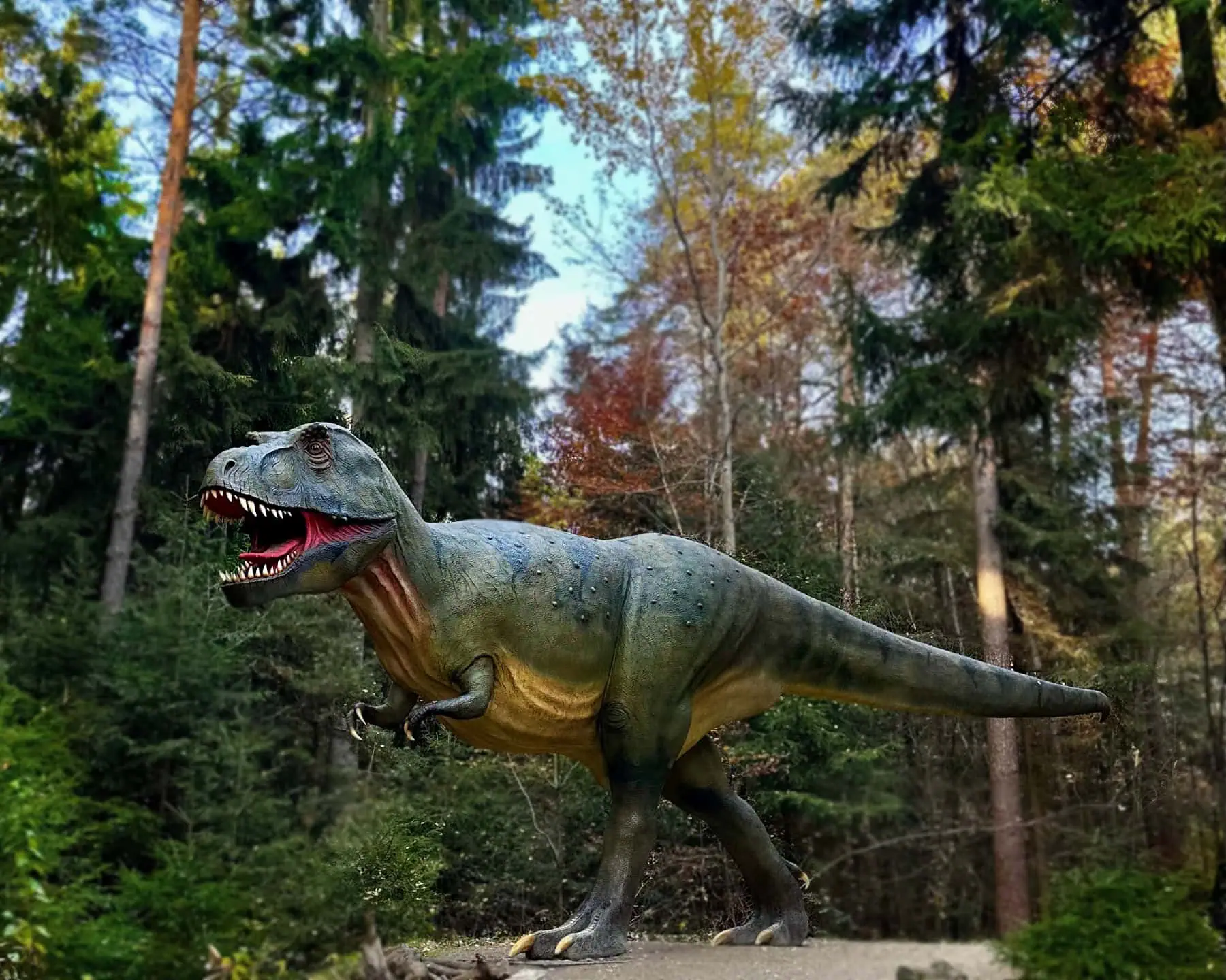 Dinosaurier Museum Altmühltal // HIMBEER Adventskalender 2025