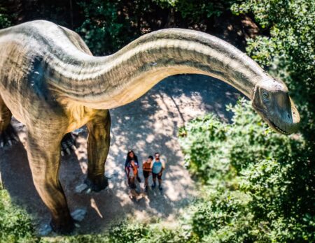 Dinosaurier Museum Altmühltal // HIMBEER Adventskalender 2025