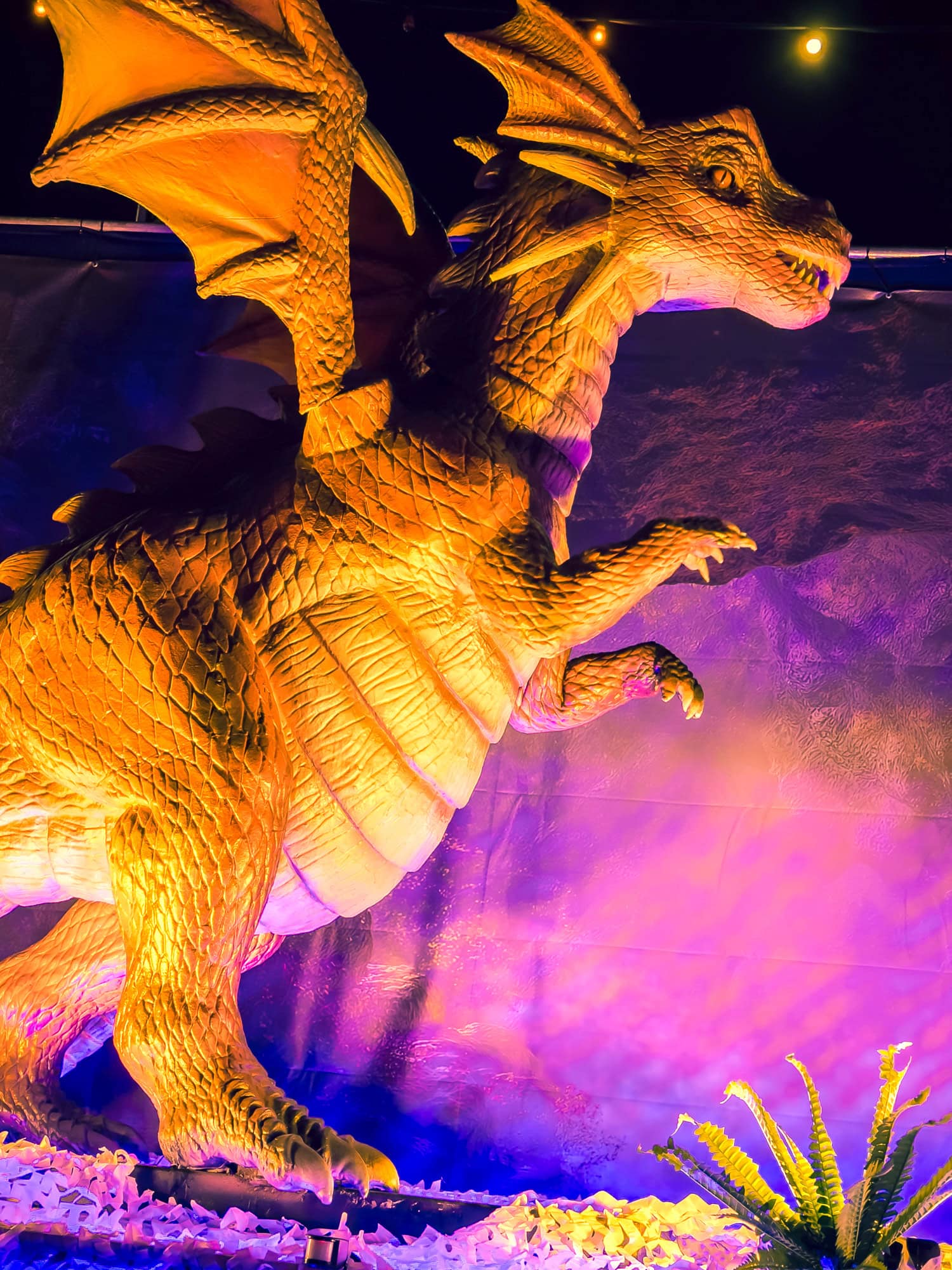 Game of Dragons, Lucky Star // HIMBEER