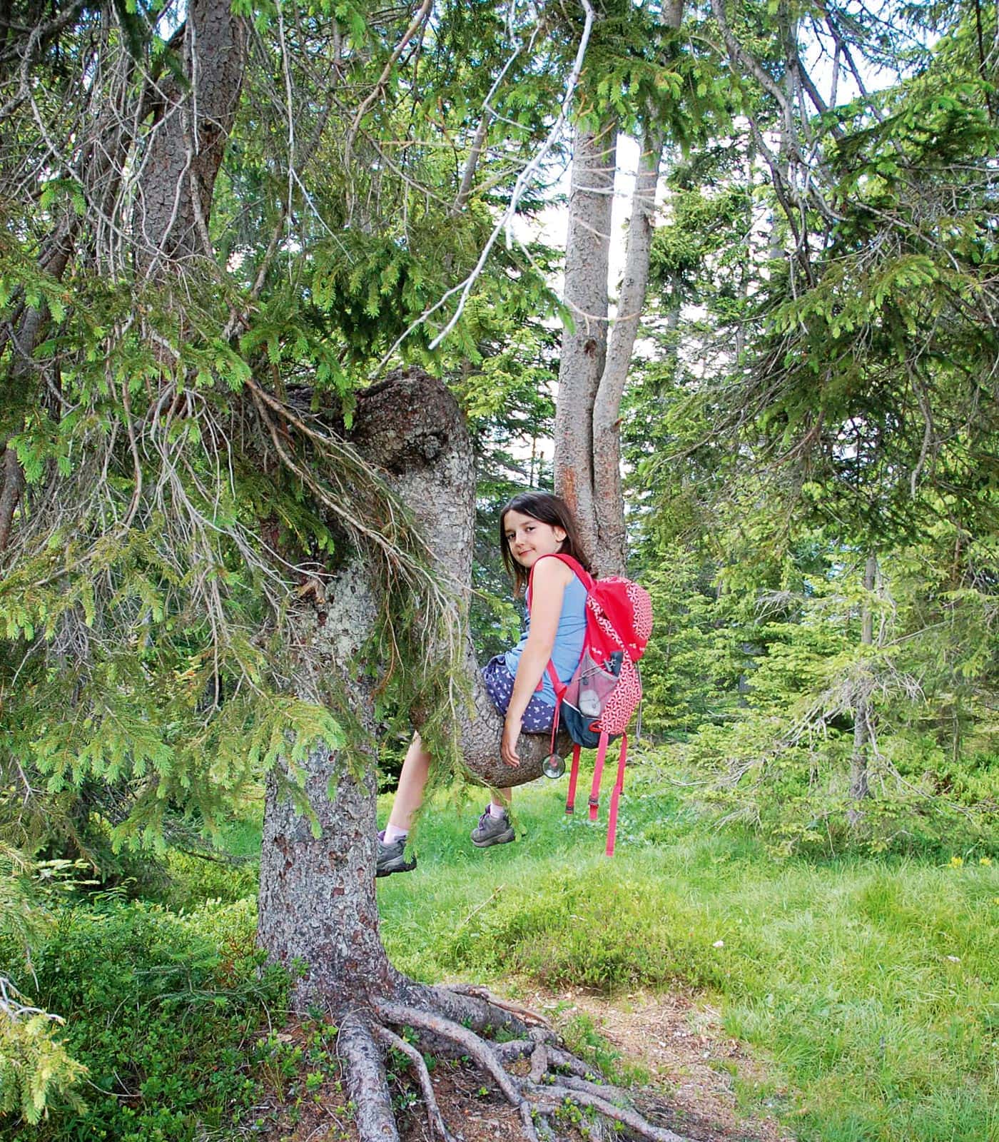 Naturzeit-Reisetipp: Wandern mit Kindern in der Umgebung von Innsbruck // HIMBEER