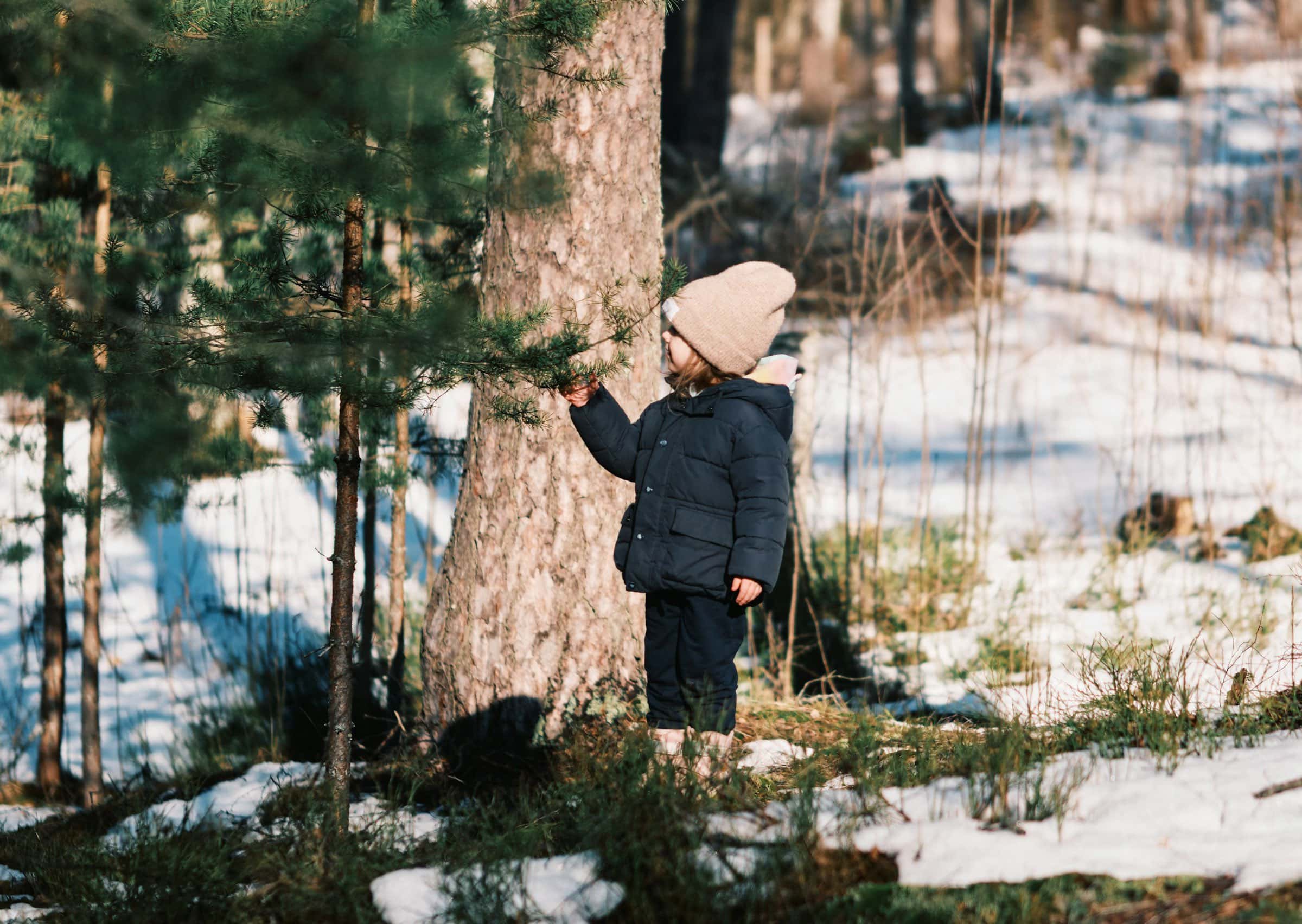 Mini-Tipps im Januar: eine Führung durch den winterlichen Wald mit dem Fabi // HIMBEER