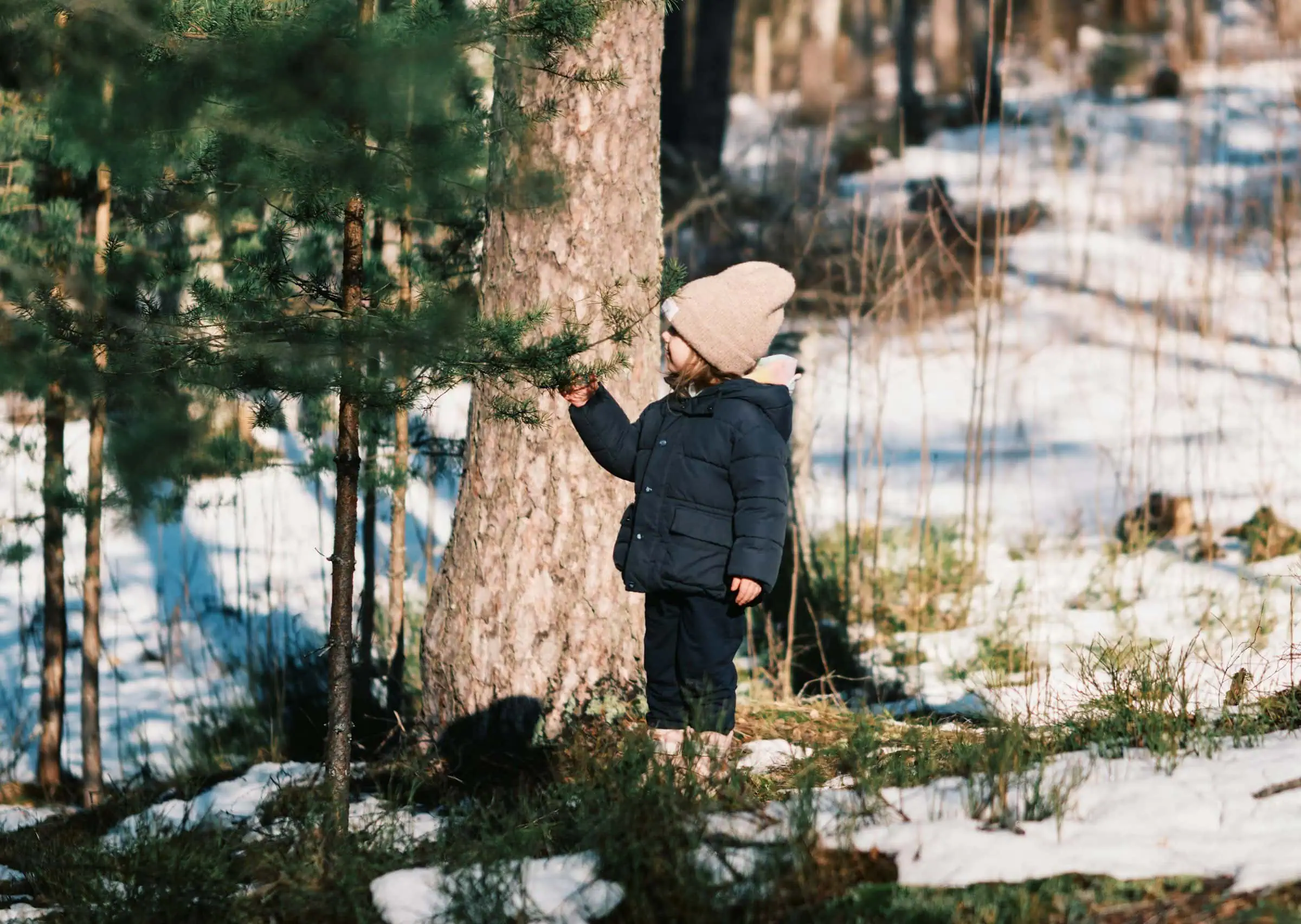 Mini-Tipps im Januar: eine Führung durch den winterlichen Wald mit dem Fabi // HIMBEER