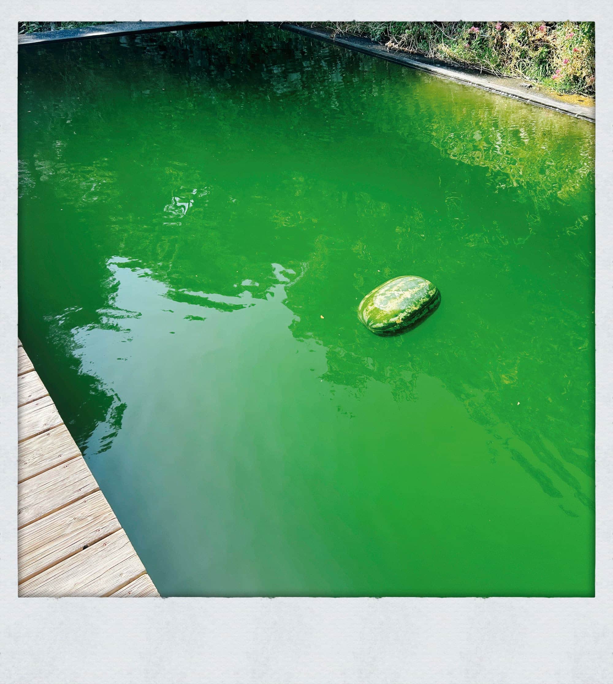 Willkommen im neuen Leben – eine Familie erzählt vom Auswandern nach Sizilien – HIMBEER Titetgeschichte