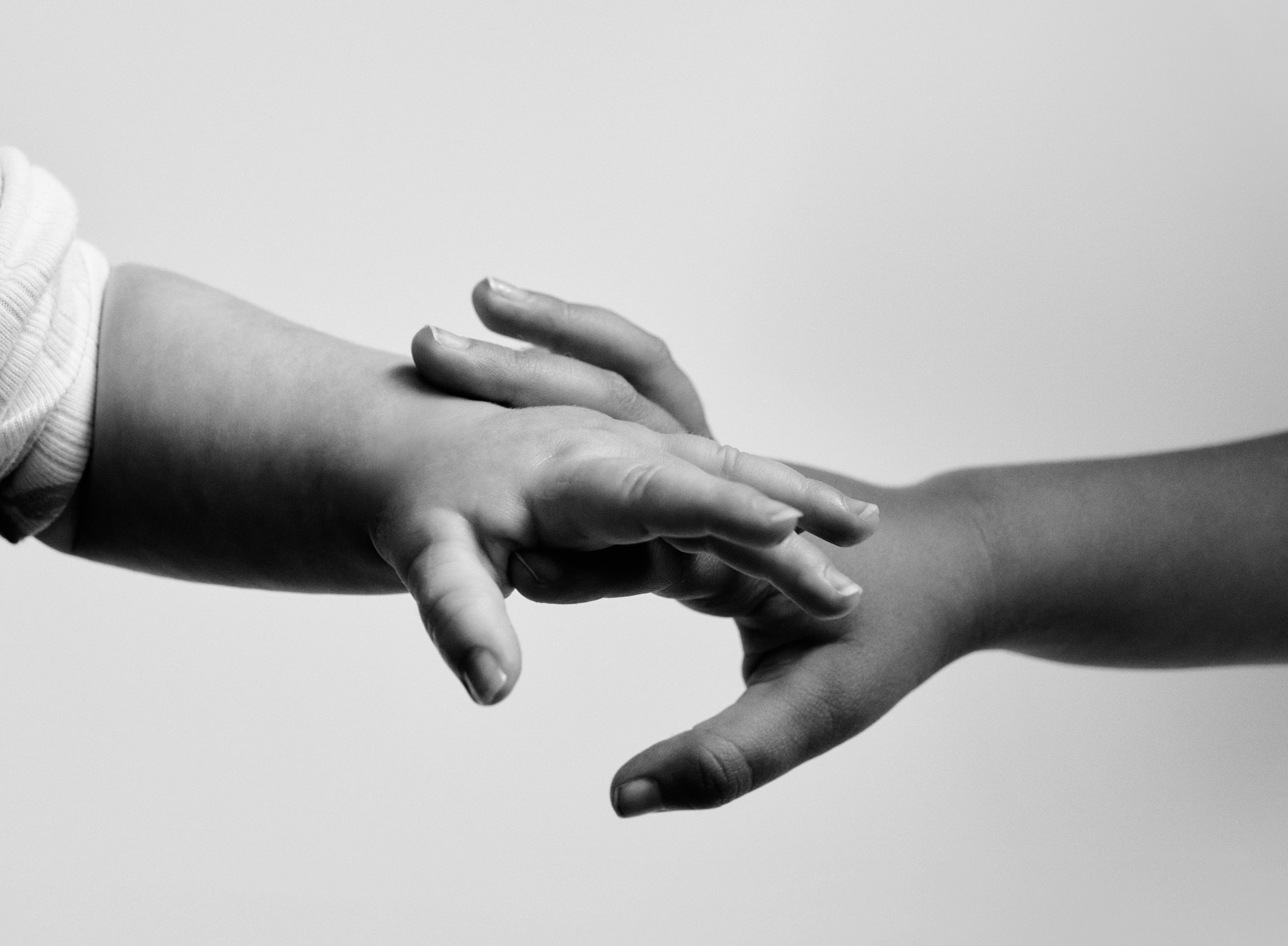 Mini-Tipps im März: Brunch zum Launch des Bugaboo Donkey 6 // HIMBEER