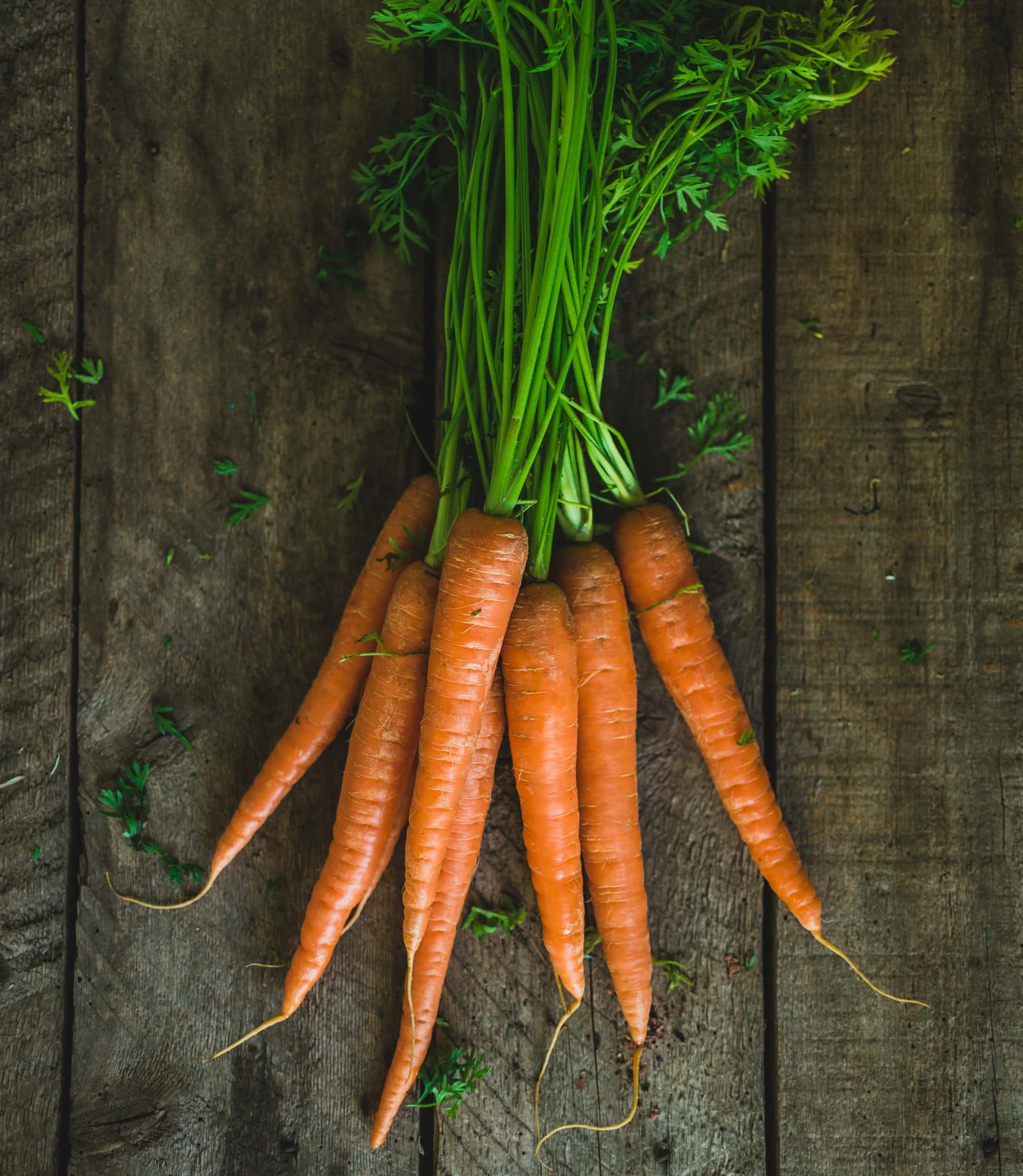 Möhren – Zutaten für die Hühnersuppe // HIMBEER
