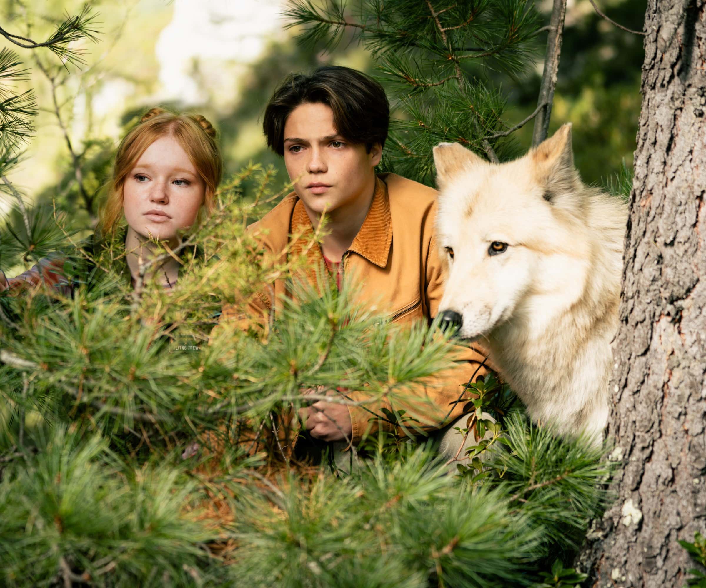 Kinderkinofilme im Winter: Woodwalkers 2