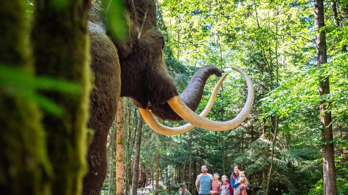 Tickets für Dinosaurier Museum Altmühltal // HIMBEER Ostergewinnspiel