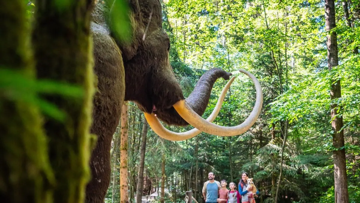 Tickets für Dinosaurier Museum Altmühltal // HIMBEER Ostergewinnspiel