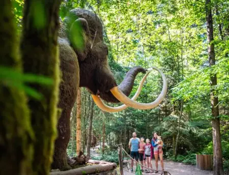 Tickets für Dinosaurier Museum Altmühltal // HIMBEER Ostergewinnspiel