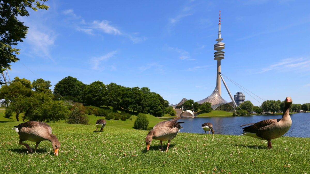 Highlights im Mai, Olympiapark München // HIMBEER