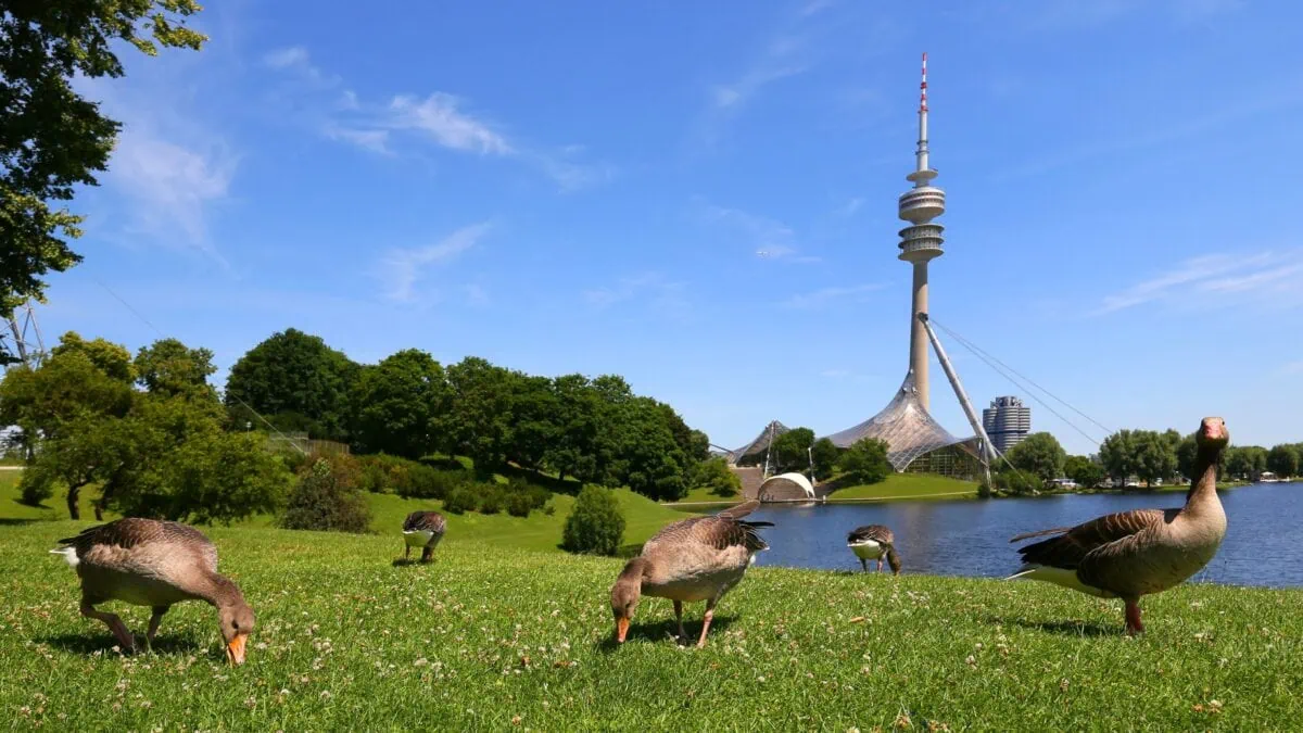 Highlights im Mai, Olympiapark München // HIMBEER