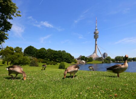 Highlights im Mai, Olympiapark München // HIMBEER
