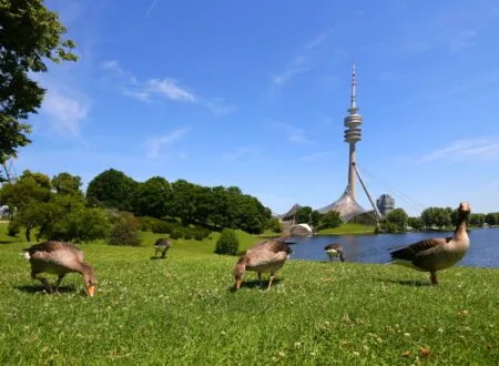 Highlights im Mai, Olympiapark München // HIMBEER