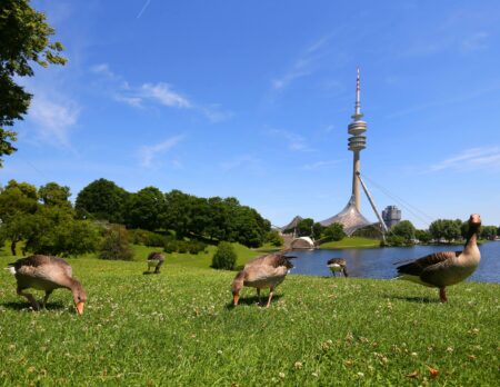 Highlights im Mai, Olympiapark München // HIMBEER