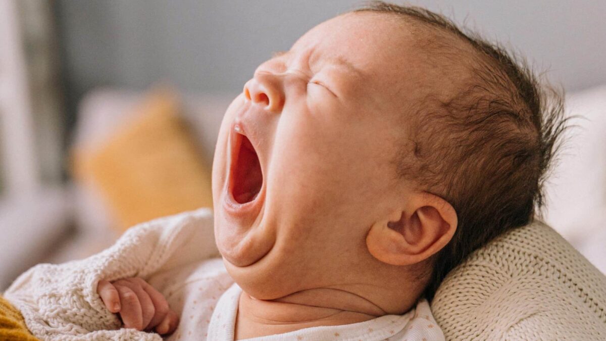 HIMBEER Baby 2026 Cover Baby c shkrabaanthony pexels